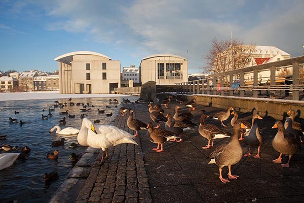 old reykjavik iceland old reykjavik iceland